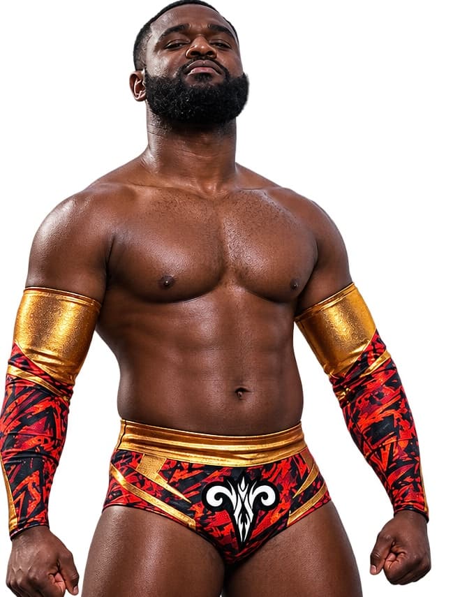 Shawn Aries